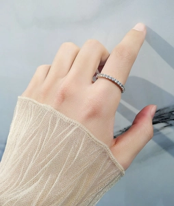 Detaillierte Ansicht eines S925 Sterlingsilber Eternity-Rings mit Zirkonia-Pavé-Fassung