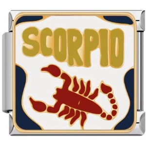 Vue macro d'un charm Scorpion en acier inoxydable avec émail ondulé et lettrage doré