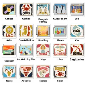 Lien de Charme Modulaire Style Italien Pour Bracelet DIY Acier Inoxydable Émail Signes du Zodiaque Chat Pingouin Guitare Bijoux Unisexe