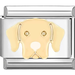 Nahaufnahme eines italienischen Modul-Armbands mit goldenem Hundekopf auf Edelstahl