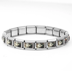 Detail eines 9mm Edelstahl Italian Charm Armbands mit verschiedenen Katzen-Fotolinks