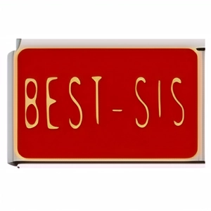 Detail eines roten Emaille-Armbandglieds mit goldenem BEST-SIS Schriftzug für Armbänder