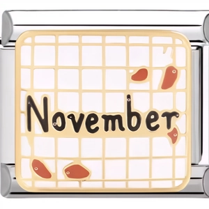 Detail of 9mm stainless steel November modular charm link for personalized bracelets
