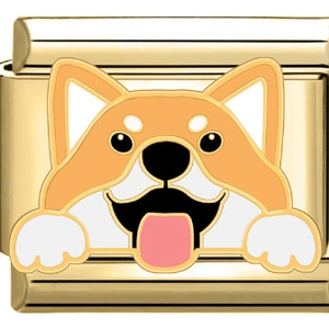 Italienisches Charm-Glied aus Edelstahl in Gold mit buntem Corgi-Hund-Emaille-Design