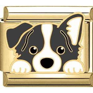 Makroansicht eines goldenen italienischen Charms mit Border-Collie-Emaille-Design