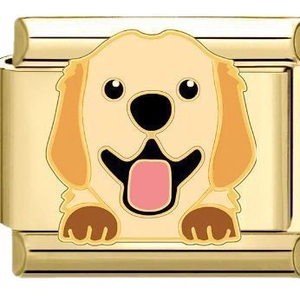 Goldenes Edelstahl-Modul-Charm-Glied mit niedlichem Golden Retriever Hunde-Motiv