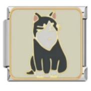 Detail of Italian modular charm with cat enamel design on stainless steel base