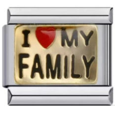 Italian charm bracelet in stainless steel with I Love My Family gold module plate