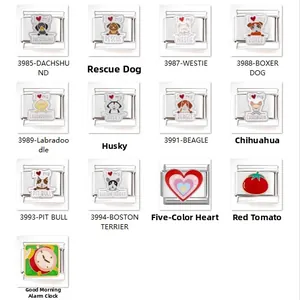 Set de 13 dijes de acero inoxidable con razas de perros y patrones de dibujos animados