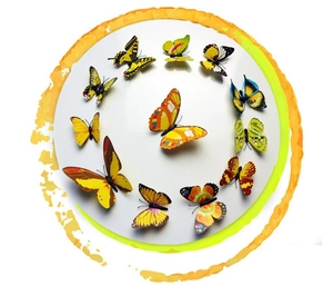 Set de 12 stickers muraux papillons 3D colorés aux motifs vifs pour décor de maison