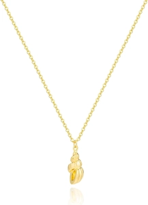 Polished gold conch shell pendant on a thin O-chain necklace against a white background