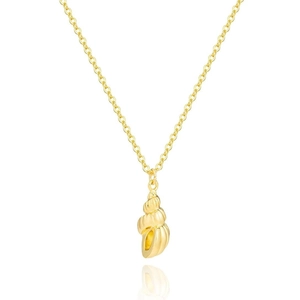 Minimalist gold-plated stainless steel necklace with a realistic conch shell pendant