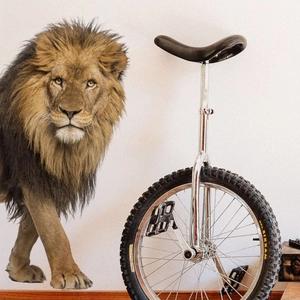 Professional off-road unicycle with high-strength metal frame and anti-slip rubber tire