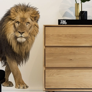 Detail of creative lion wall decal beside a minimalist wooden three-drawer storage cabinet