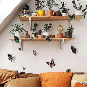 Detailed 3D butterfly wall decals in assorted colors on a cozy living room background