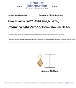 Macro detail van 14K vergulde S925 zilveren hanger met witte zirkonia accenten