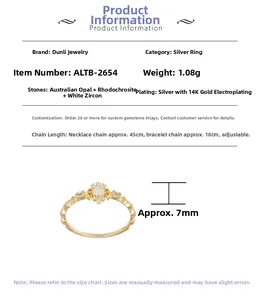 Detaillierte Spezifikationen des S925 Silberrings mit Opal, Labradorit und weißem Zirkon