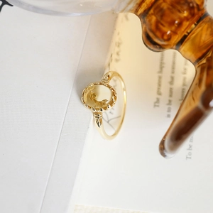 Detailed close-up of golden rose ring with amber gemstone on a vintage book page