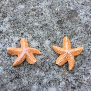 Deko-Seesterne aus Harz im mediterranen Stil in Orange mit realistischer Textur