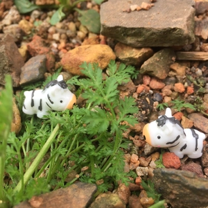 Miniature resin zebra figurines for moss micro landscapes and DIY bonsai decoration, 2-piece set