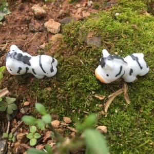 Miniature resin zebra figurines for moss micro-landscape and succulent bonsai decoration