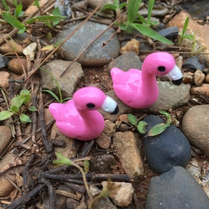 Figurines miniatures de flamants roses en résine pour succulentes et décor de jardin