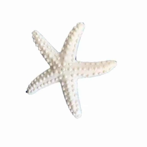 White resin starfish decoration with realistic textured surface for Mediterranean decor