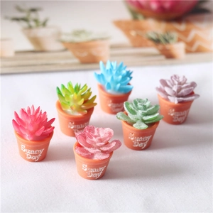 Set of 6 miniature succulent plants in brown pots featuring Sunny Day text