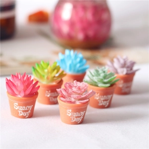 Detailed view of miniature succulent plants in orange pots with Sunny Day text