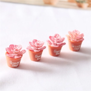 Close-up of four miniature succulent plants in orange pots with Sunny Day text