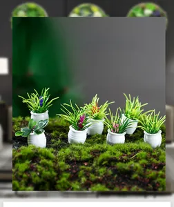 Detailed close-up of 7 assorted miniature dollhouse plants in small white round pots
