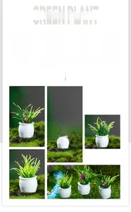 Detailed view of dollhouse miniature potted plants with white pots for micro landscape decor