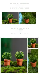 Macro detail of miniature dollhouse potted plants with green needle leaves in clay pots
