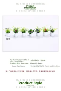 Detail view of 7 assorted resin mini succulent plants for dollhouse decor, 4.5cm tall