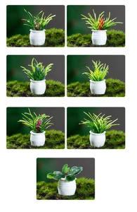 Detailed macro view of 7-piece miniature dollhouse potted plants with white bases