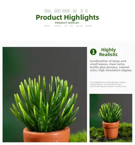 Macro shot of realistic miniature potted plant with detailed green leaves and clay pot