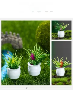 Macro shot of miniature dollhouse potted plants with colorful flowers and white pots