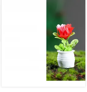 Macro shot of miniature dollhouse plant with red flowers in a white round pot