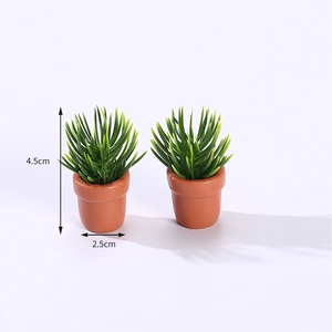 Miniature dollhouse succulent plants in terracotta pots for micro landscape decor