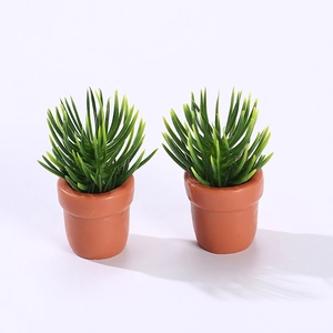 Miniature succulent dollhouse plants in terracotta pots for micro landscape decor