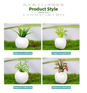 Detailed size comparison of four miniature dollhouse succulent pots on green grass