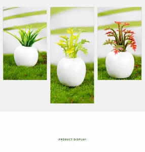 Detailed trio set of miniature dollhouse succulents in white egg-shaped pots for micro landscape