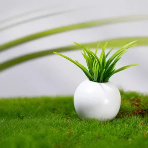 Macro shot of a miniature succulent plant in a white spherical ceramic pot for dollhouses