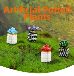 Macro detail of four assorted miniature succulent plants in patterned ceramic pots