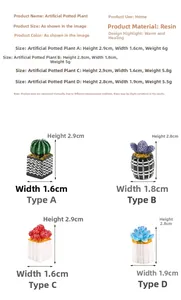 Detailed size specifications for miniature dollhouse resin cactus potted plants