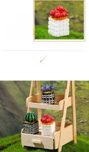 Detailed macro view of miniature dollhouse cactus succulents on a tiny wooden display stand