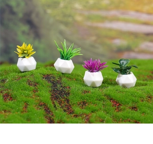Primo piano dettagliato di quattro piante in miniatura per casa delle bambole in vasi bianchi