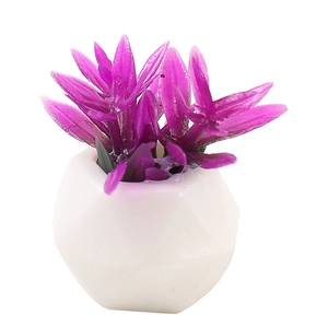 Pianta in miniatura per casa delle bambole con foglie viola in vaso bianco geometrico
