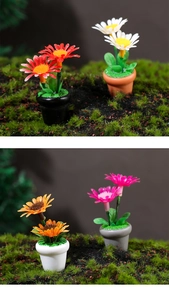 Detailed view of four colorful miniature dollhouse potted daisies on a mossy surface