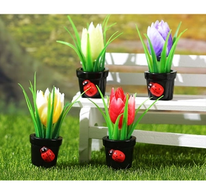 Mini vasi di tulipani con coccinelle su panca bianca sopra un prato verde